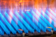Ladybrook gas fired boilers